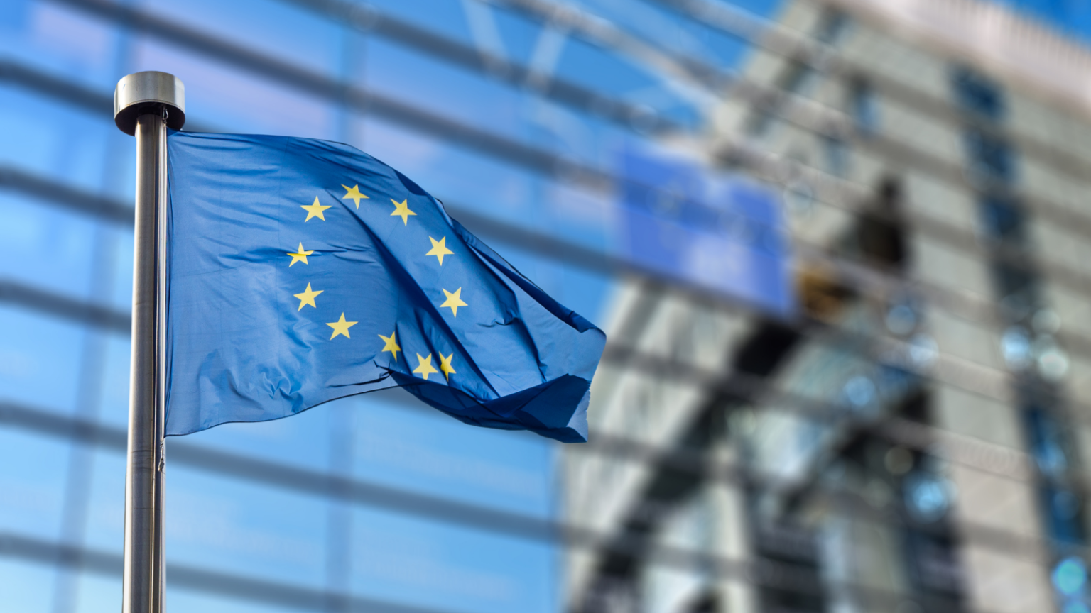 IVDR Transition Support