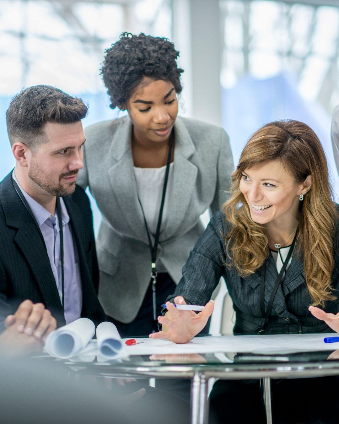 Software Implementations process — QbD Group