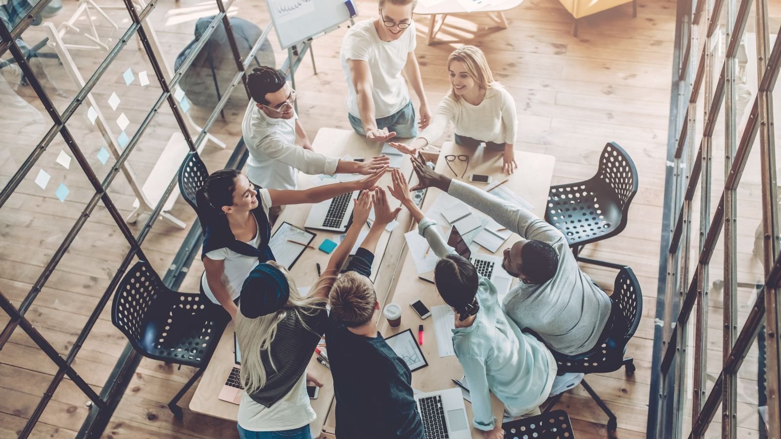 MedTech初创企业团队协作