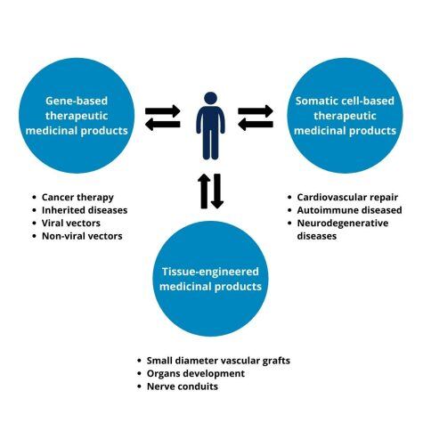 ATMPs – translating the expertise into a GMP process – QbD – DF ATMPs - translating the expertise into a GMP process - QbD - DF