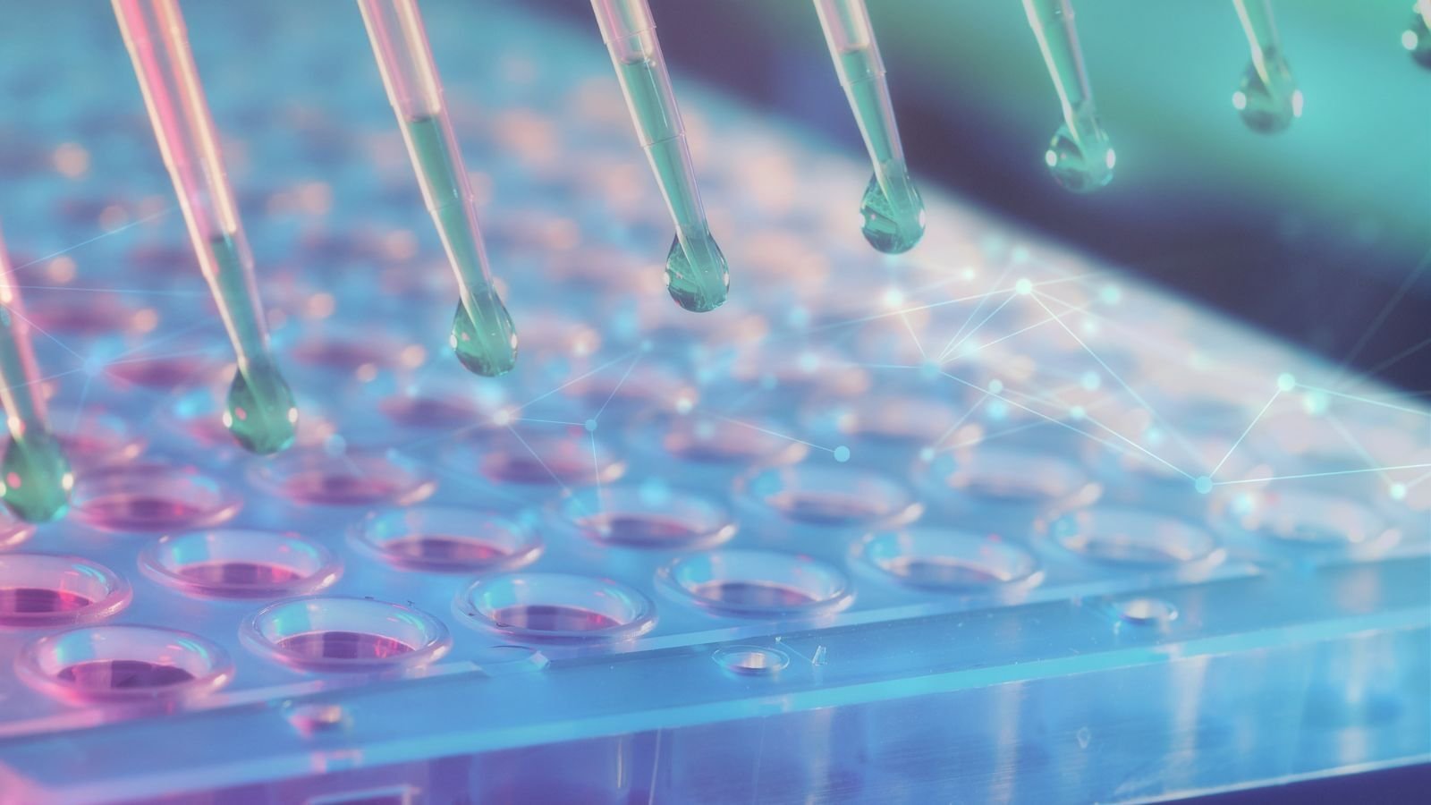 Whitepaper - Digitalization in the Pharmaceutical Industry - Software Solutions & Services